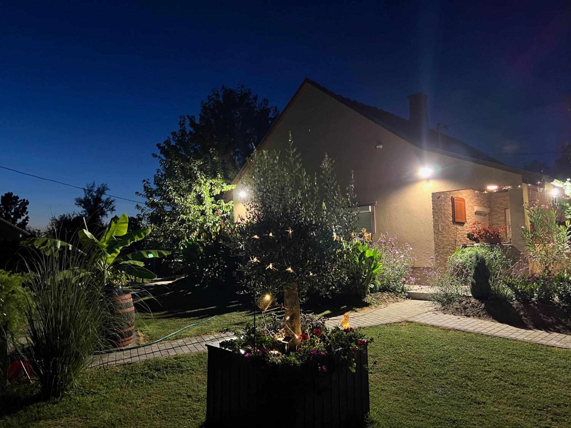 Villa Arany Vendeghaz Szarvas Exterior foto